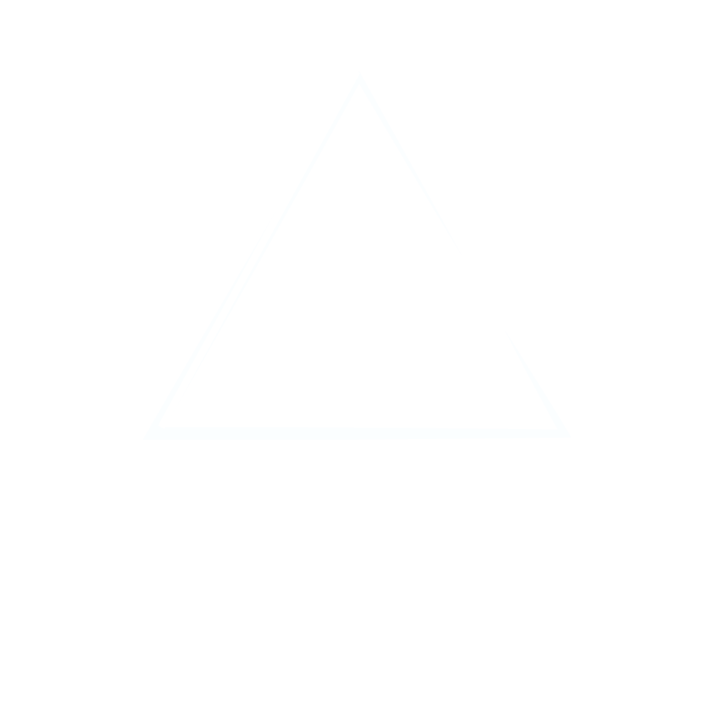 NewCelebrity Management